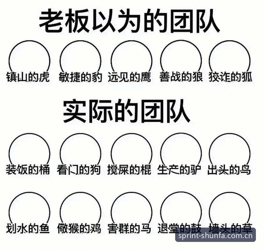 顺发体育好不好？技术评测 vs 用户实际体验的全面对比